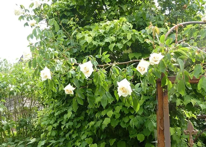 Lägenhet Omas Huus Esens